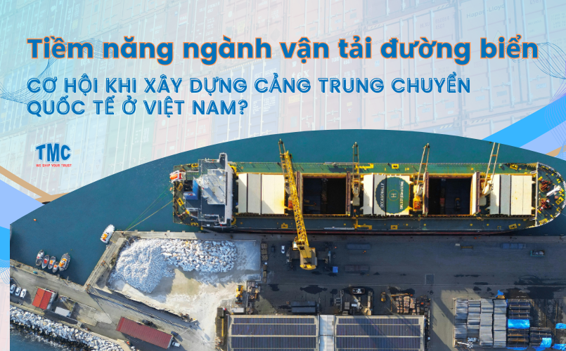 Tiềm năng ngành vận tải đường biển: Cảng trung chuyển quốc tế ở Việt Nam